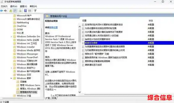 Windows 11系统运行ANSA兼容性分析与解决方案探讨