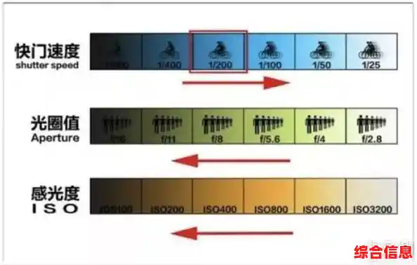 相机天梯图解析：从入门到专业，掌握完美影像的创作利器