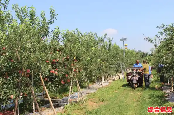 [苹果表情]与您同游果园乐园，沉浸于果香四溢的甜蜜之旅！