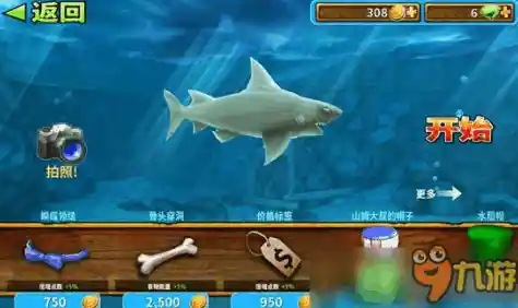 谁说进化之路只能孤单？快来《饥饿鲨进化中文版》开启你的鲨鱼征服之旅！