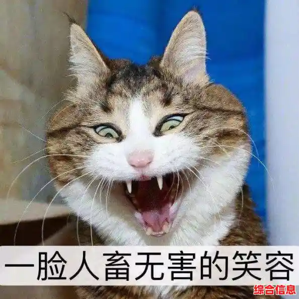 空手道猫咪(Karatecat)难道你不想体验这款刺激的猫咪格斗闯关游戏吗？