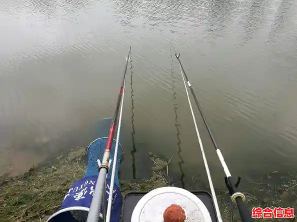 想体验最真实的钓鱼模拟？欢乐钓鱼大师MOD版》让你一竿在手乐趣无穷！