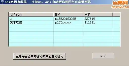 ADSL连接密码恢复器：一键获取并备份您的上网账户详情