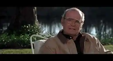 恋恋笔记本：经典台词中的浪漫故事与永恒爱意重温