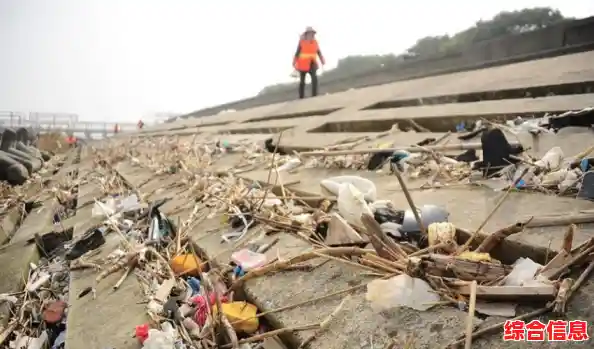 共建绿色家园：探讨垃圾倾倒的合法处理方式与长效管理机制