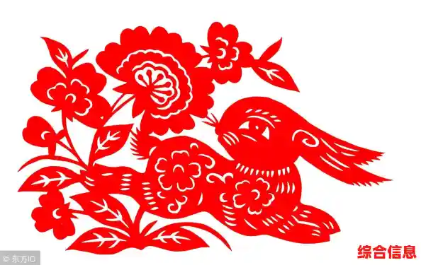 迷你兔数据恢复工具详细操作教程与技巧分享