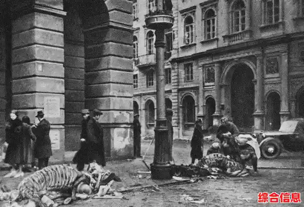 想在要塞围城最新版中体验不同模式的玩法？故事、荣誉、十字军东征等你来战！