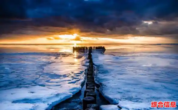 手机摄影图库精选：捕捉生活每一刻的高清视觉盛宴