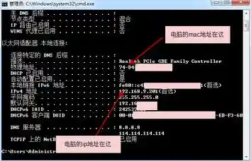 装机高手详细教学：如何快速查询电脑IP地址