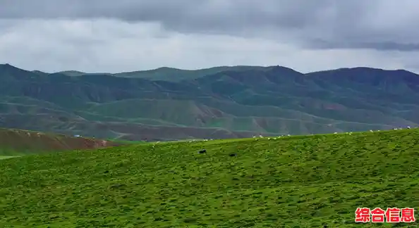探讨恢复的本质：心理、生态与文化层面的深度解析