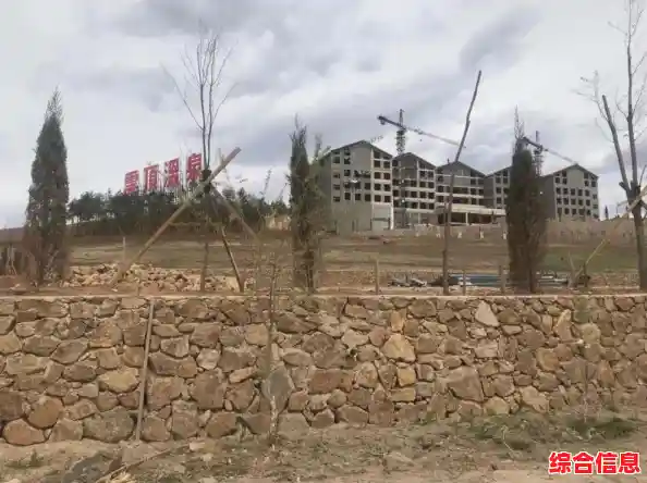 探讨恢复的本质：心理、生态与文化层面的深度解析