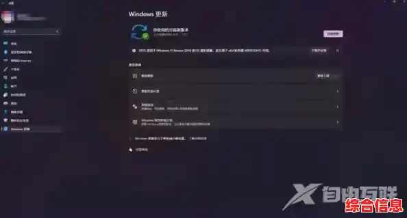 解决Win11更新速度缓慢与系统卡顿问题的有效方法