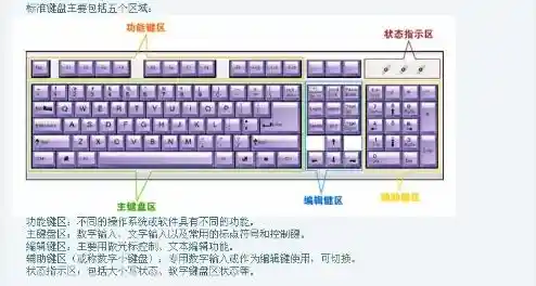 电脑键盘指法练习:掌握高效打字技巧的关键步骤 电脑键盘指法练习:掌握高效打字技巧的关键步骤