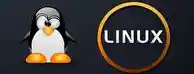 精通Linux安装的艺术:掌握核心步骤与高级配置秘诀 精通Linux安装的艺术:掌握核心步骤与高级配置秘诀