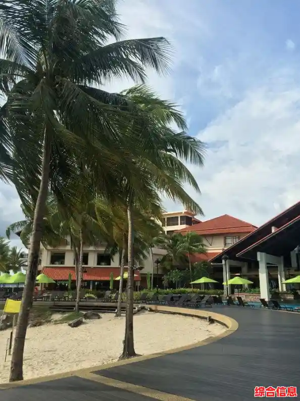 还在找一款超好玩的冒险游戏?海岛王》满足你的生存与探索欲望! 还在找一款超好玩的冒险游戏?海岛王》满足你的生存与探索欲望!