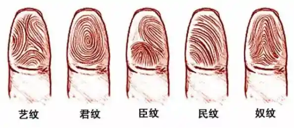 想挑战你的眼力极限?快来试试《指掌》的指纹闯关吧! 想挑战你的眼力极限?快来试试《指掌》的指纹闯关吧!