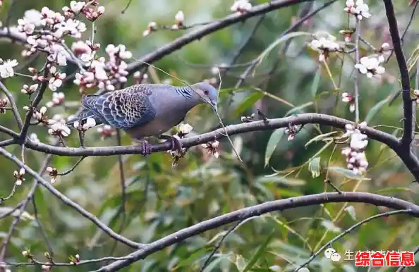 个性化健康方案,助您激活360度全方位健康精灵潜能 个性化健康方案,助您激活360度全方位健康精灵潜能