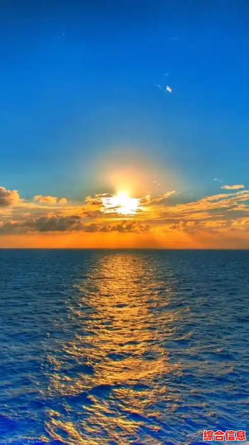 一步步教你解析和下载无水印视频的实用方法教程 一步步教你解析和下载无水印视频的实用方法教程