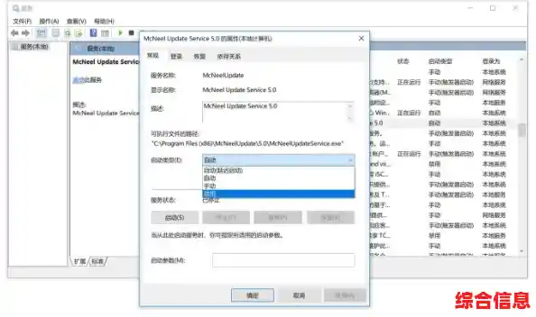 Windows 11系统浏览器设置步骤详解与优化指南