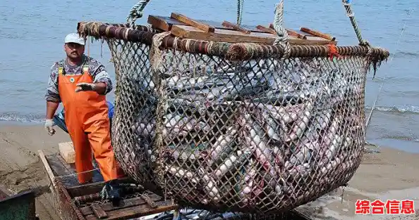 热爱足球的你,怎能不玩《足球经理2024手游汉化版》 热爱足球的你,怎能不玩《足球经理2024手游汉化版》