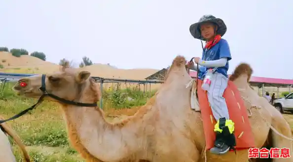 山地沙漠任你驰骋，越野摩托挑战》为何不试试？