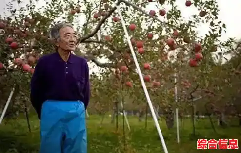 苹果电影：果园里的故事，揭示自然与家庭的温馨联结