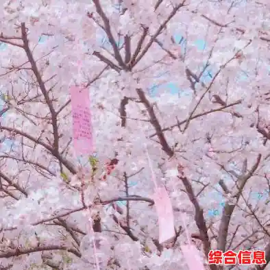 全新版本手机微信待您探索，下载即享流畅社交新体验