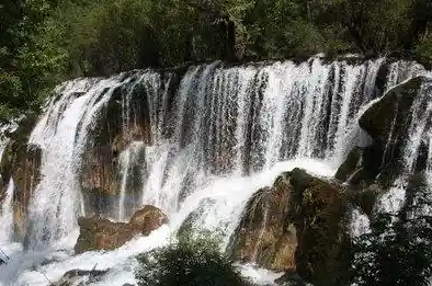 专业手机测评报告：详尽对比最新款智能机的优缺点与购买建议