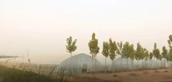 种植养殖样样精通?农场小镇正版等你来展现创造力! 种植养殖样样精通?农场小镇正版等你来展现创造力!