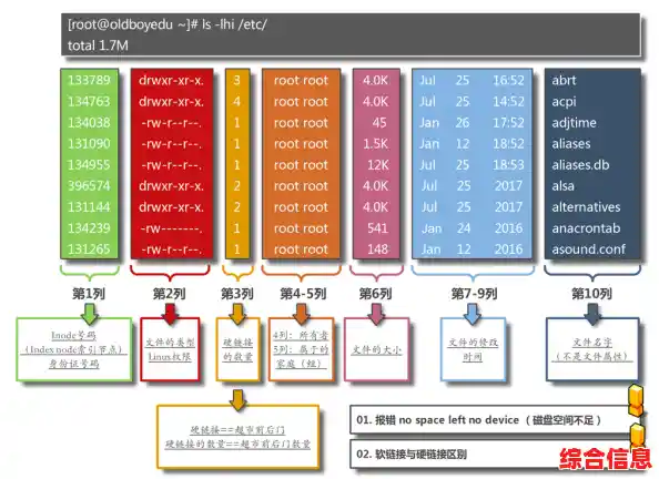 揭秘根目录：它在操作系统中的关键角色与功能解析