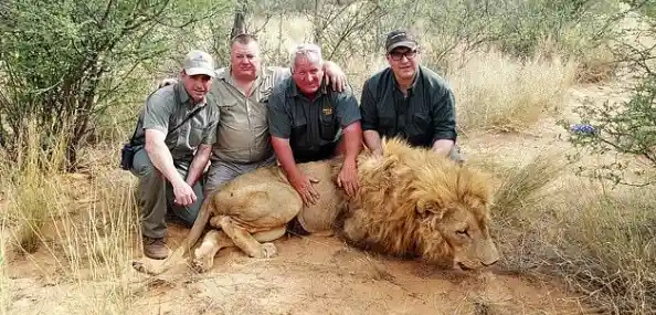 猎杀之旅：野外狩猎技巧全攻略，助你晋升顶级猎人行列！