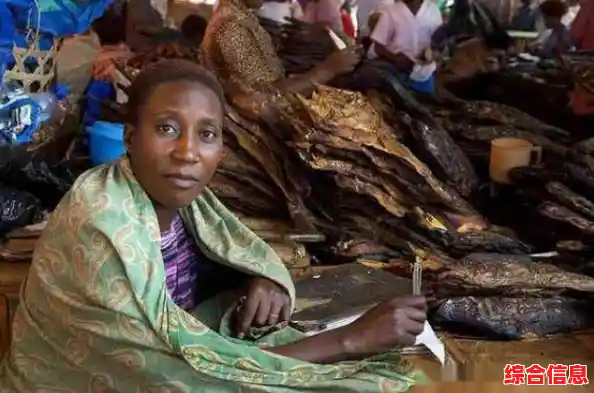 谁能拒绝从弱小鲨鱼成长为海中霸主的快感?饥饿鲨世界国际服老版本限时畅玩! 谁能拒绝从弱小鲨鱼成长为海中霸主的快感?饥饿鲨世界国际服老版本限时畅玩!