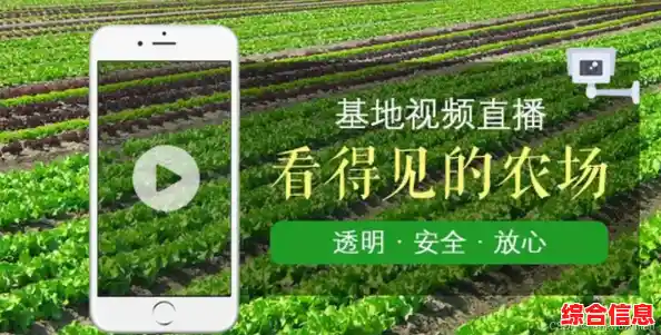 土豆系统:革新农业生产效率的智能科技解决方案 土豆系统:革新农业生产效率的智能科技解决方案