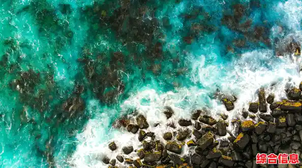 精选高清电脑壁纸,让每一寸屏幕都焕发鲜活魅力! 精选高清电脑壁纸,让每一寸屏幕都焕发鲜活魅力!