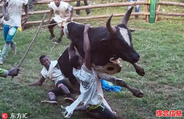 挑战好友赢取胜利,畅玩多人斗牛手机版,体验真实牛牛对决! 挑战好友赢取胜利,畅玩多人斗牛手机版,体验真实牛牛对决!