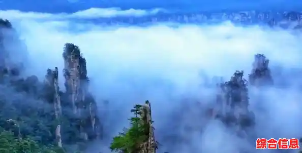 CPU显卡搭配天梯图更新,帮你快速锁定高性价比装机方案! CPU显卡搭配天梯图更新,帮你快速锁定高性价比装机方案!