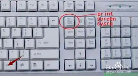 全新电脑截屏快捷键大全:提升效率的实用技巧一键获取 全新电脑截屏快捷键大全:提升效率的实用技巧一键获取