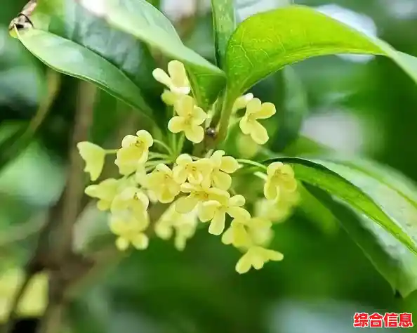 可爱小狗的星星冒险,你准备好解开《星径》的谜题了吗? 可爱小狗的星星冒险,你准备好解开《星径》的谜题了吗?