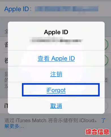 掌握正确方法：苹果手机刷机操作技巧与安全提示