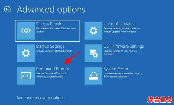 如何应对Windows 11中文件无法移动的常见问题及修复技巧