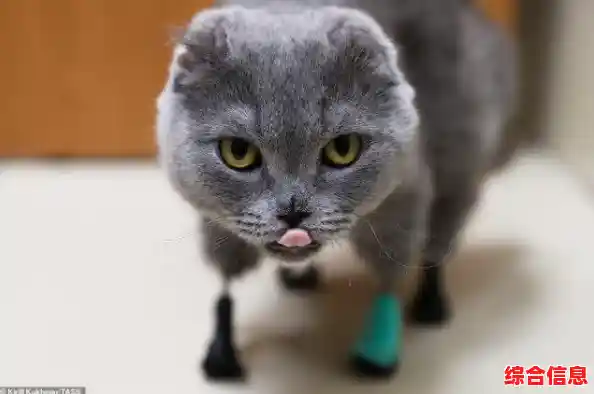 得实打印机官网:高效打印解决方案,让工作轻松又高效! 得实打印机官网:高效打印解决方案,让工作轻松又高效!