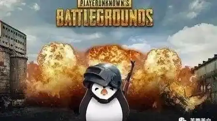 绝地求生国际服体验服如此刺激，你怎能错过今晚的吃鸡盛宴？