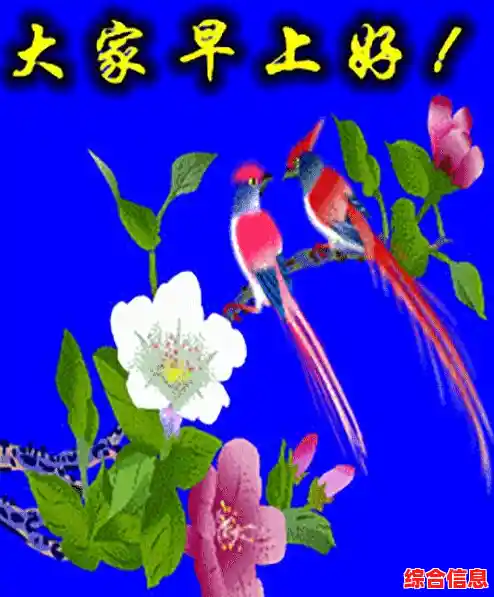 掌握微信消息群发功能，快速实现高效信息推送