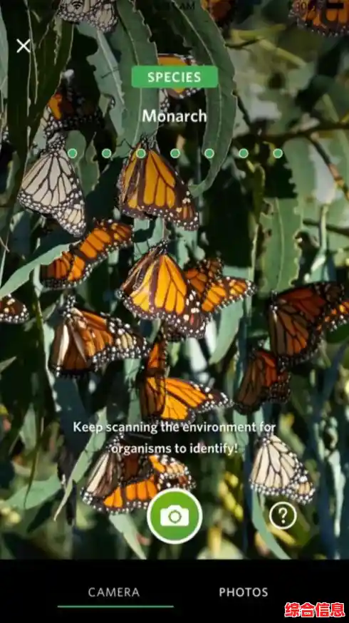 万能浏览器:让每一次点击都成为发现未知的奇妙旅程 万能浏览器:让每一次点击都成为发现未知的奇妙旅程