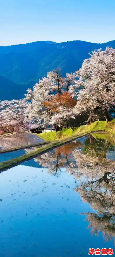 手机风景壁纸精选:将自然美景装进你的屏幕,点亮视觉享受 手机风景壁纸精选:将自然美景装进你的屏幕,点亮视觉享受