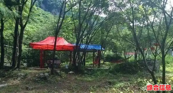 2010年电脑CPU天梯图发布:详细对比各型号处理器性能表现 2010年电脑CPU天梯图发布:详细对比各型号处理器性能表现