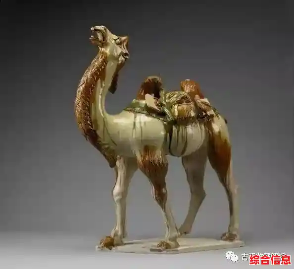 想在《瞄准骆驼》中享受简单操作与华丽画面的双重快感? 想在《瞄准骆驼》中享受简单操作与华丽画面的双重快感?