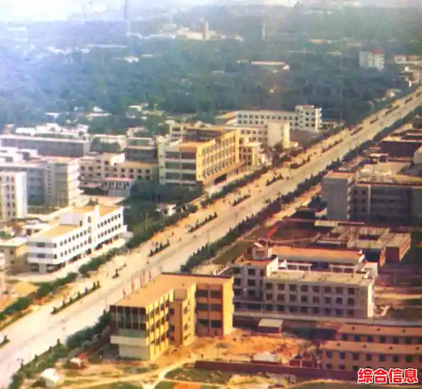 Windows 11活动历史记录查看步骤与实用技巧全解析 Windows 11活动历史记录查看步骤与实用技巧全解析