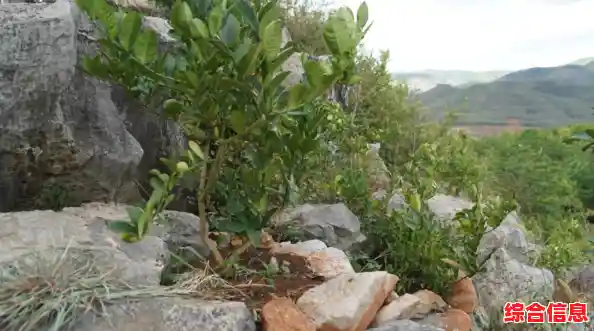 加固笔记本,守护你的生产力伙伴安全无忧 加固笔记本,守护你的生产力伙伴安全无忧