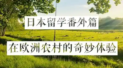想要种植、养殖、经营一应俱全?可可谷农场冒险让你轻松当农场主! 想要种植、养殖、经营一应俱全?可可谷农场冒险让你轻松当农场主!